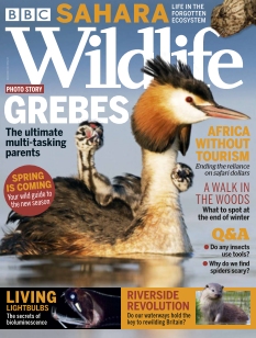 Jaquette BBC Wildlife Magazine