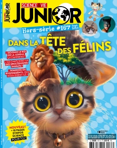 Science & Vie Junior Hors-Série