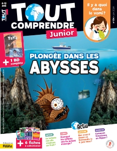 Tout Comprendre Junior