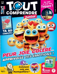 Tout Comprendre Junior