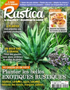 Rustica