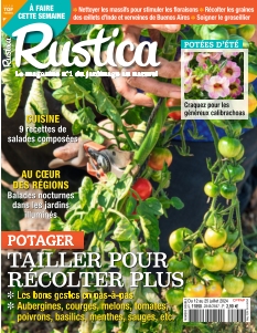 Rustica