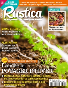 Rustica