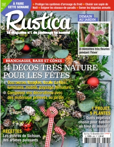 Rustica