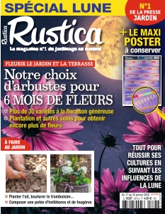 Rustica