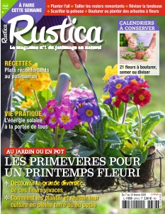 Rustica