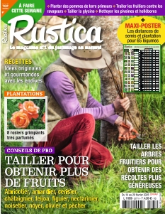 Rustica