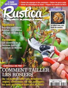Rustica
