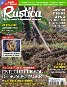 Rustica