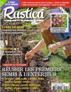 Rustica