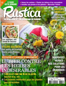 Rustica