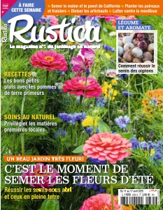 Rustica