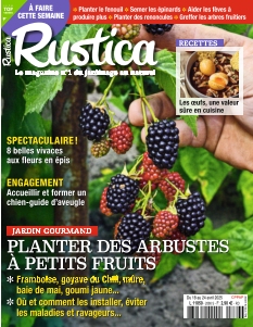 Rustica -  - Rustica SA