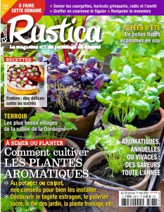 Rustica