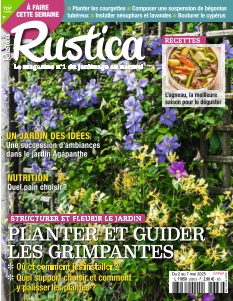 Rustica