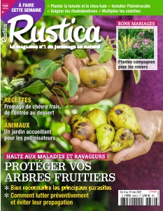 Rustica