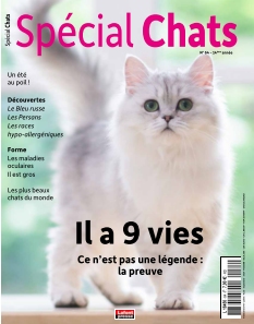 Jaquette Spécial Chats