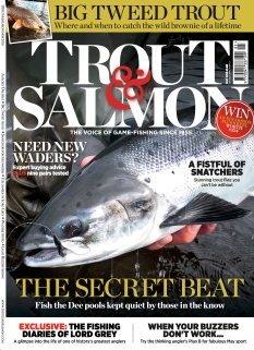 Trout & Salmon
