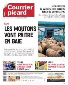 Courrier Picard Amiens