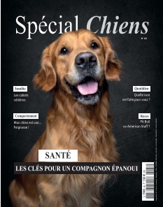 Jaquette Spécial Chiens