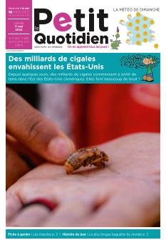 Le Petit Quotidien