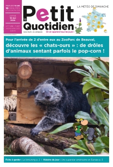 Jaquette Le Petit Quotidien