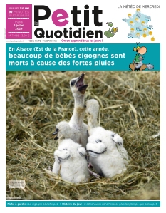 Jaquette Le Petit Quotidien