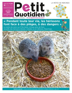 Le Petit Quotidien