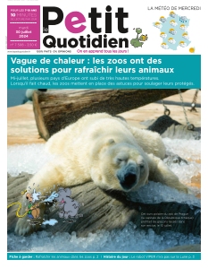 Jaquette Le Petit Quotidien