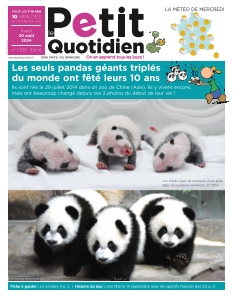 Jaquette Le Petit Quotidien