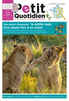 Jaquette Le Petit Quotidien