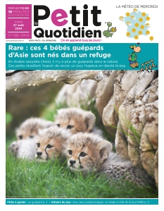 Le Petit Quotidien