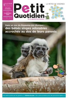 Jaquette Le Petit Quotidien