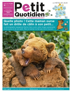 Le Petit Quotidien