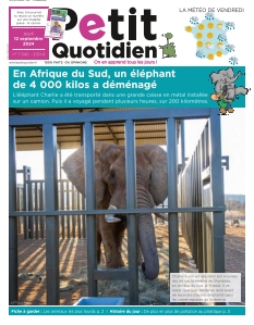 Le Petit Quotidien