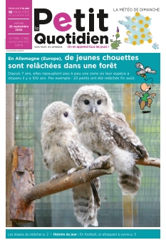 Le Petit Quotidien