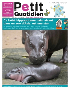 Le Petit Quotidien