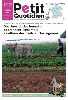 Le Petit Quotidien