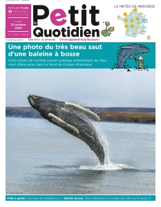 Le Petit Quotidien