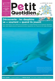 Le Petit Quotidien