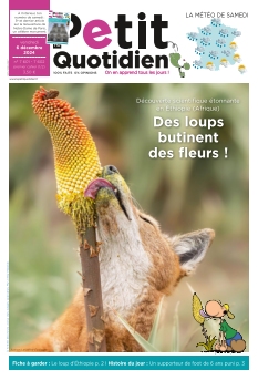 Le Petit Quotidien