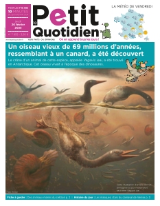 Le Petit Quotidien