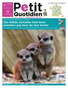 Le Petit Quotidien