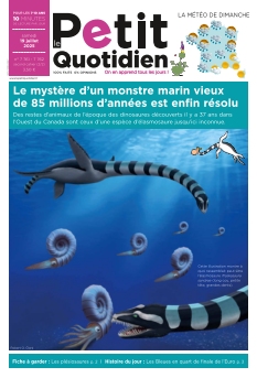 Le Petit Quotidien -  - Playbac Presse