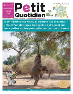 Le Petit Quotidien