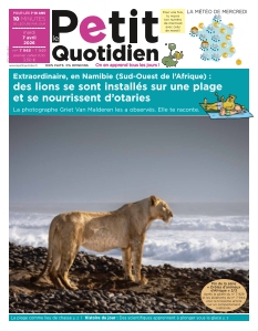 Le Petit Quotidien