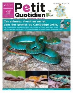Le Petit Quotidien