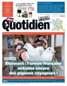 Mon Quotidien