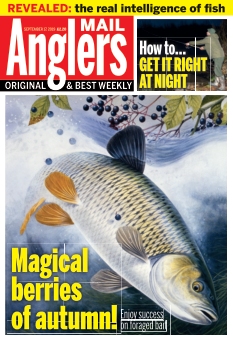 Angler's Mail