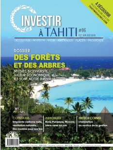 Jaquette Investir à Tahiti